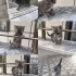 Bu güzel çocuk yuva arıyor fotoğraf