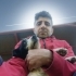 Sadık Bir Dost, Bitmeyecek Bir Sevgi... SOSYAL- İNSAN DÜŞKÜNÜ TERRIER fotoğraf