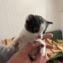 Fiko anne sütü emdi gayet sağlıklı fotoğraf