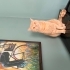 Bebeğimiz olduğu için mecbur yuva fotoğraf