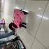 Bella için bahçeli bir yuva fotoğraf