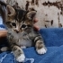 Minik kıza yuva olmak istermisiniz? fotoğraf