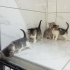 Elimizden Tutarmısınız fotoğraf