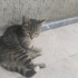 Lütfen bu meleğe sıcak kapınızı açın fotoğraf