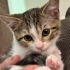 Güzeller güzeli Asya Bebek fotoğraf