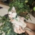 1.5 aylık 4 bebek kedi, kuru mama ve kum alışkanlıkları var fotoğraf