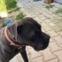 Kızımıza yuva arıyoruz fotoğraf