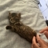 Anneleri ölmüş bebeklere acil yuvalar aranıyor fotoğraf