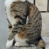 Çok sevecen çok tatlı fotoğraf