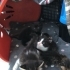 DÜNYANIN EN AKILLI KEDİSİ SMOKİN BEBEK İÇİN AİLE OLUR MUSUNUZ fotoğraf