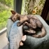 COOKİE BEBEK YUVA ARIYOR! fotoğraf