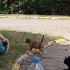 Tek başına sokağa atılmış bir bebek fotoğraf