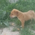 Minik Ares oğlan.. fotoğraf