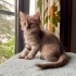 FUZZY BEBEK YUVA ARIYOR! fotoğraf