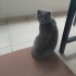 Sokakta yaşamaya bırakılan bu masum surata yuva arıyoruz fotoğraf