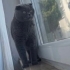 TEKİRDAĞ SÜLEYMANPAŞA fotoğraf