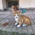 Gözlerine ışık sıcacık bir yuva fotoğraf
