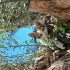Muhteşem annenin muhteşem yavruları fotoğraf
