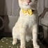 Oğlumuza yuva arıyoruz fotoğraf
