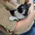 Luna iç dış parazitleri yapıldı veteriner muyanesi yapıldı sağlıklı bir dişi fotoğraf