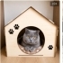 Ücretsiz sahiplenme pofidik British kedi fotoğraf