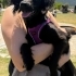 Ücretsiz sahiplenme kokoni köpek fotoğraf