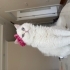 Tam bir Prenses fotoğraf
