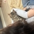 El kadar bir bebek fotoğraf