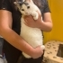 Dünya Güzeli Kızımız fotoğraf