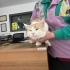 Aslan Görünümlü Kedi Bebesi fotoğraf
