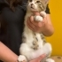 Oyuncu Erkek Bebek fotoğraf