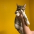 Oyuncu Erkek Bebek fotoğraf