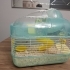 Hamster ve kafesi fotoğraf