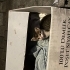 Minik Yavru Kedi fotoğraf