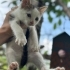Acil yuva ariyoruz fotoğraf