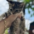 Acil yuva ariyoruz fotoğraf