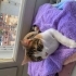 İnsanlara aşık ama kedilerle anlaşamayan bir Kedi :) fotoğraf