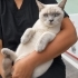 Önce sokağa ,sonra kliniğe terkedildi, lütfen kafesten kurtarın.. fotoğraf