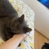 Dünyalar güzeli Rosie fotoğraf