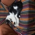 Çok sevecen, insan canlısı fotoğraf