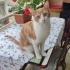 Sevgi dolu, akıllı ve oyuncu fotoğraf