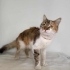 Gözleri güzel kız fotoğraf