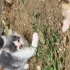 Uslu kızım yuva arıyor fotoğraf