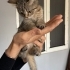 Sanayide yaşayan melez bebeklerimize yuva arıyoruz fotoğraf
