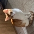 Sıcak sevgi dolu yuva fotoğraf