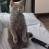 Sevgi dolu bir yuva arıyoruz fotoğraf