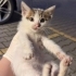 2 GÜN SÜRESİ OLAN KARTOPU fotoğraf