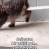 3 bacağıyla sokakta yapamaz çok oyuncu fotoğraf