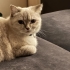 Şıpıdık Kızıma Yuva Arıyorum fotoğraf