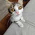 Derin Çok tatlı. fotoğraf